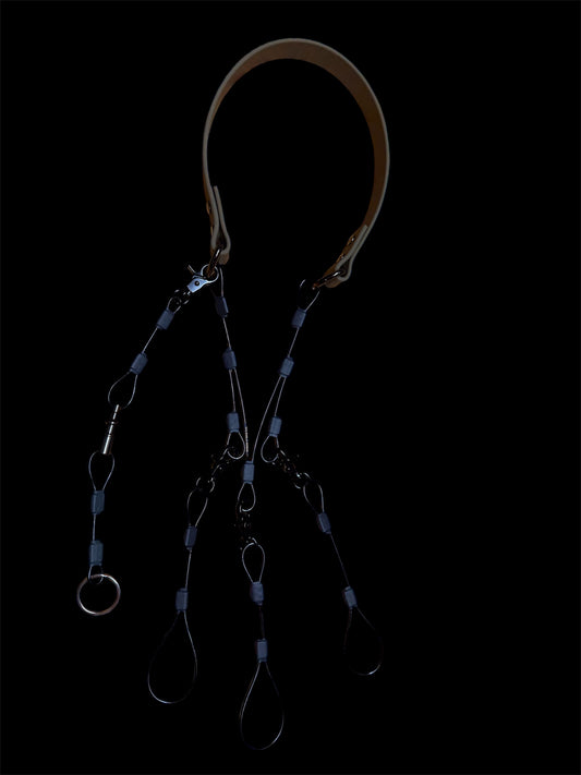 Weather Guard Lanyard